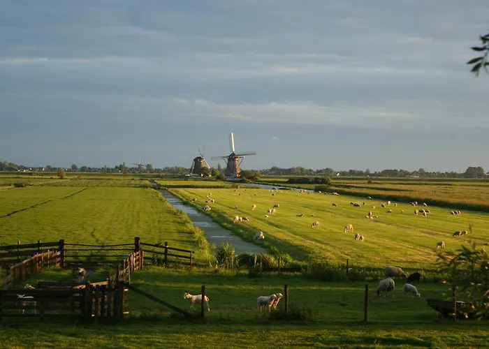 Hoeve Suydeinde Daire