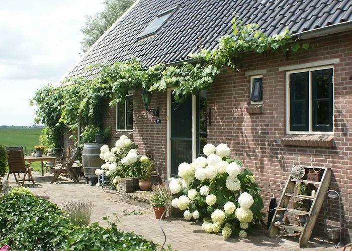 Daire Hoeve Suydeinde